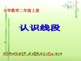 整理好的认识线段_2