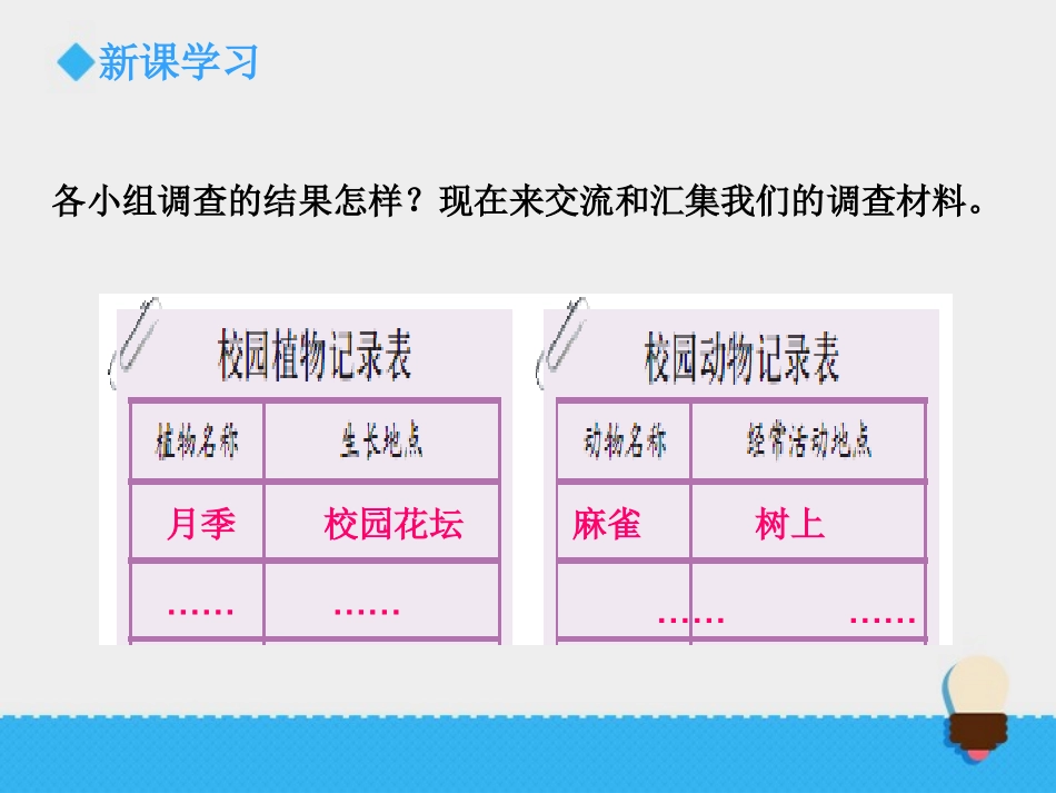 《校园生物分布图》课件1_第3页