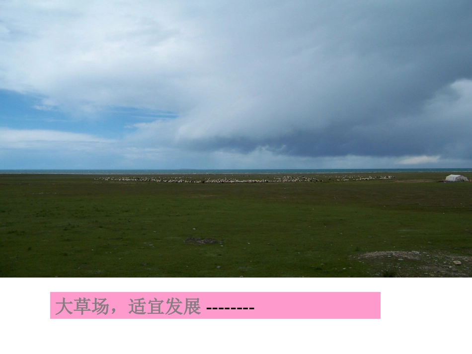 因地制宜谋发展_第2页