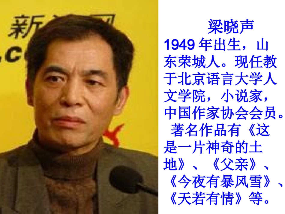慈母情深1课件_第2页