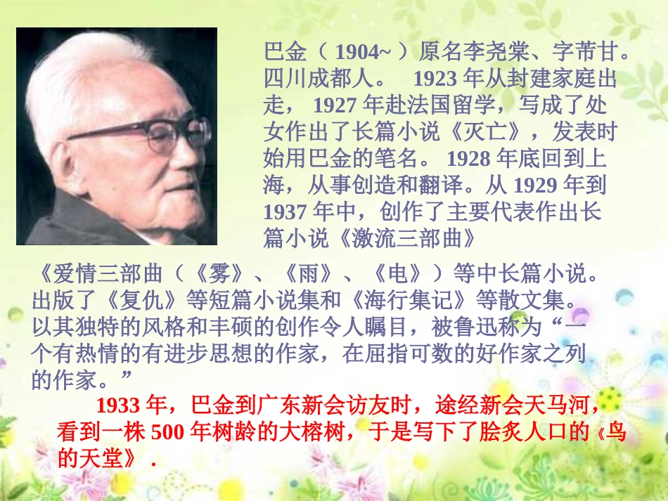 《鸟的天堂》PPT课件_第2页