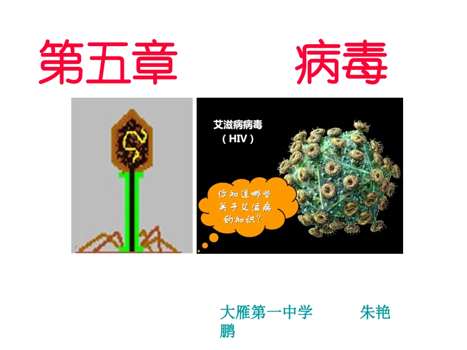 2013年人教版八年级生物上册第五章《病毒》_第1页