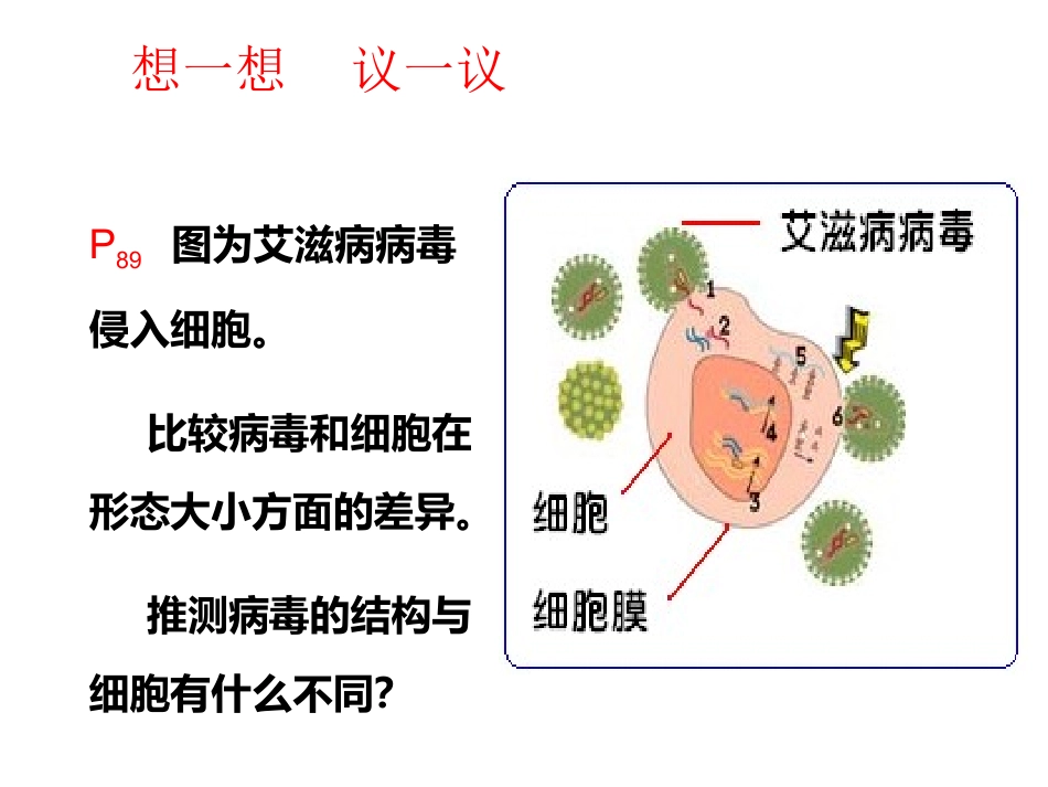 2013年人教版八年级生物上册第五章《病毒》_第2页