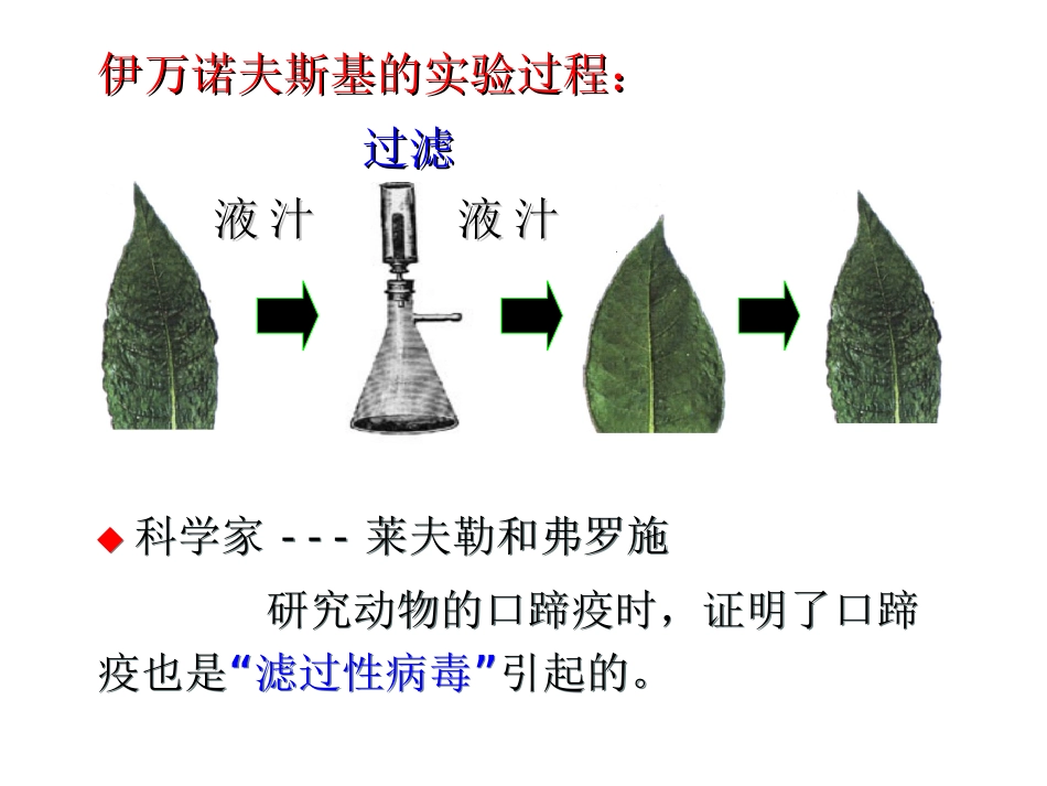 2013年人教版八年级生物上册第五章《病毒》_第3页