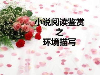 小说环境描写的作用