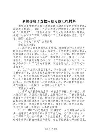 乡领导班子查摆问题专题汇报材料