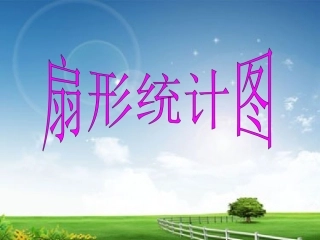 人教版六年级数学上册《扇形统计图》
