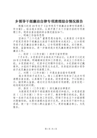 乡领导干部廉洁自律专项清理综合情况报告