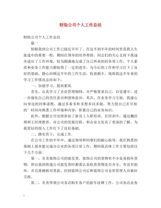财险公司个人工作总结 (2) 