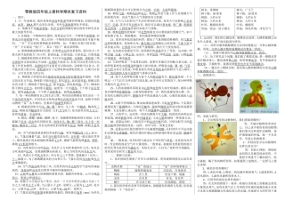 鄂教版四年级上册科学复习资料A3