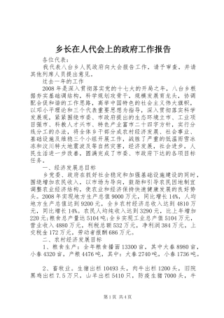 乡长在人代会上的政府工作报告