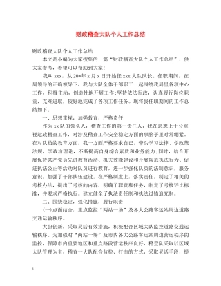 财政稽查大队个人工作总结 