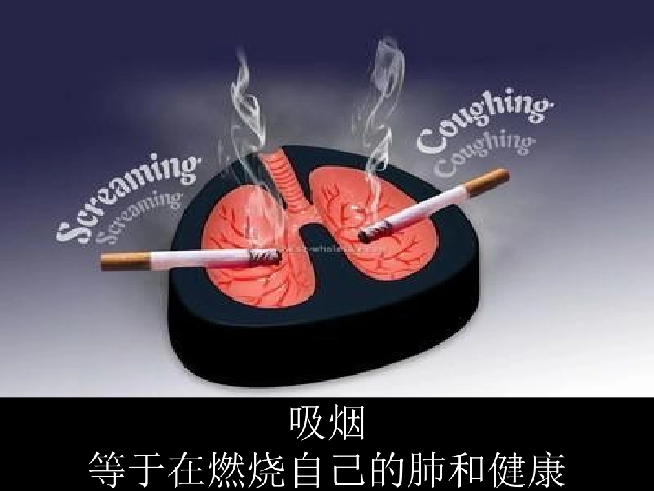 校园禁烟主题班会_第2页