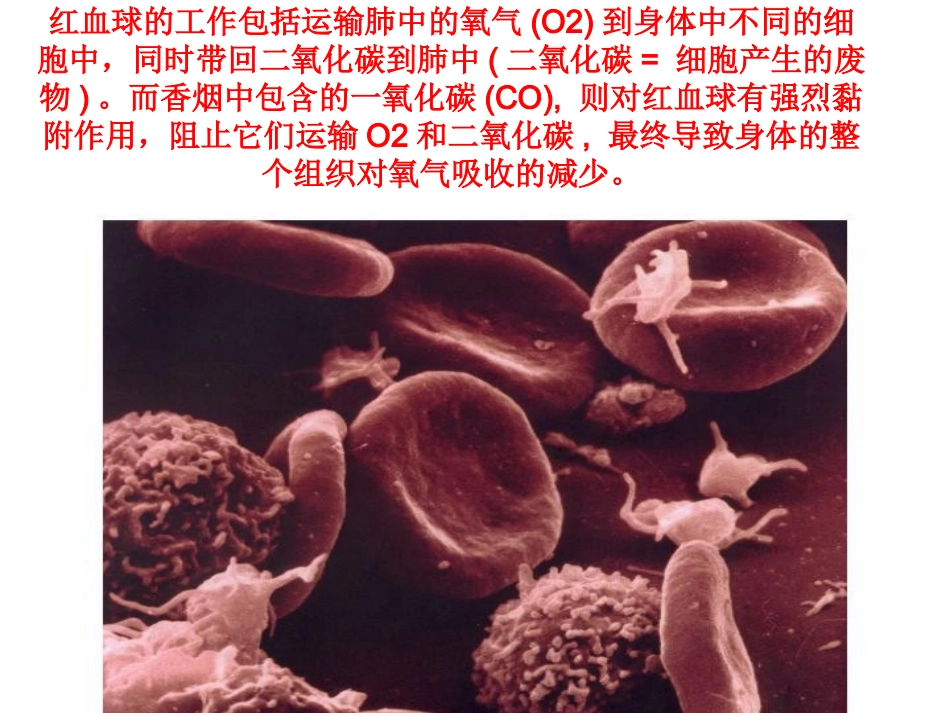 校园禁烟主题班会_第3页