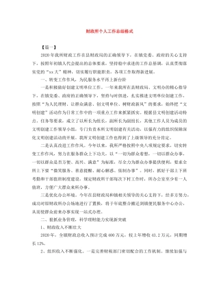 财政所个人工作总结格式 
