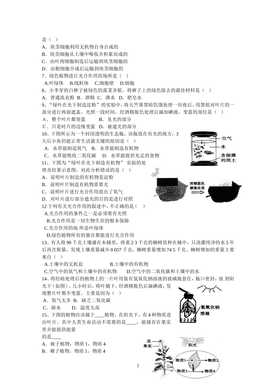 植物的光合作用单元检测题_第2页