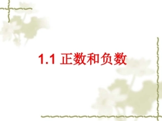 正数和负数()