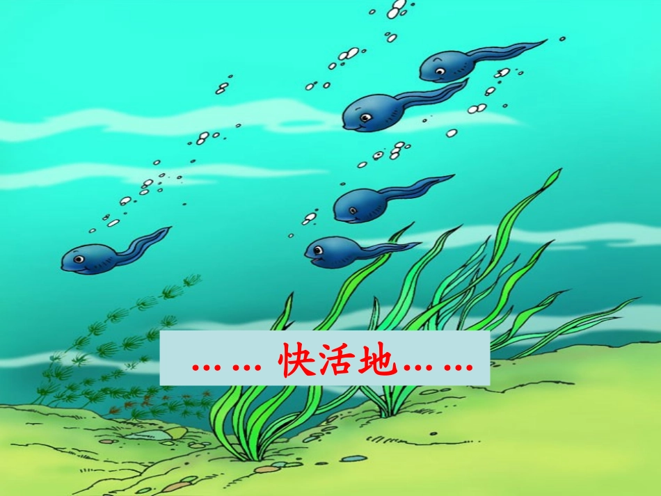 小蝌蚪找妈妈1_第2页