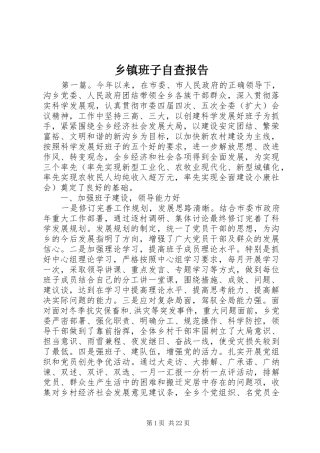 乡镇班子自查报告