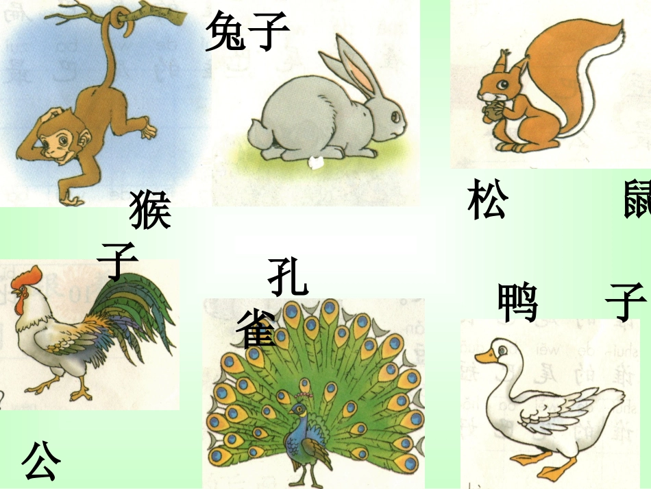 一年级语文《比尾巴》课件_第2页