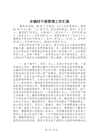 乡镇村干部管理工作汇报