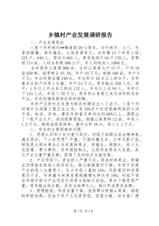 乡镇村产业发展调研报告