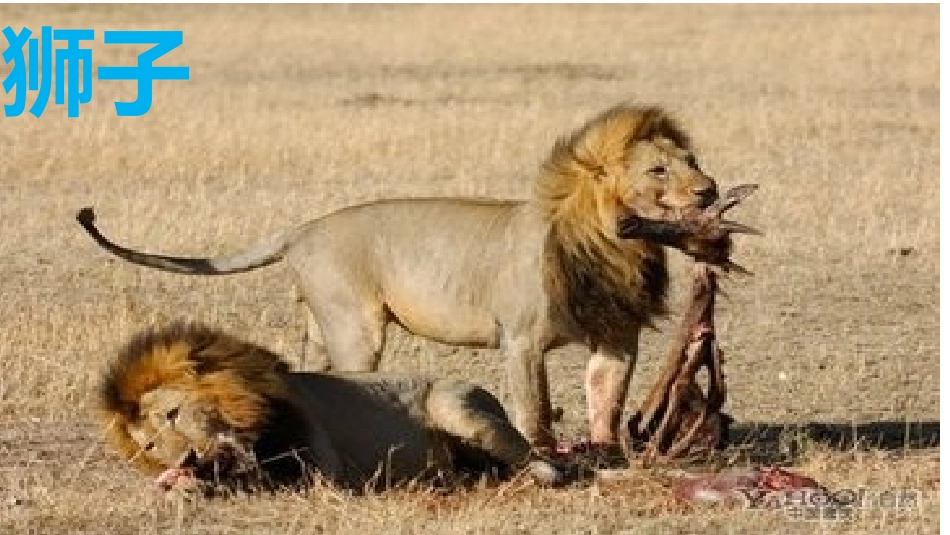 我吃什么课件_第3页