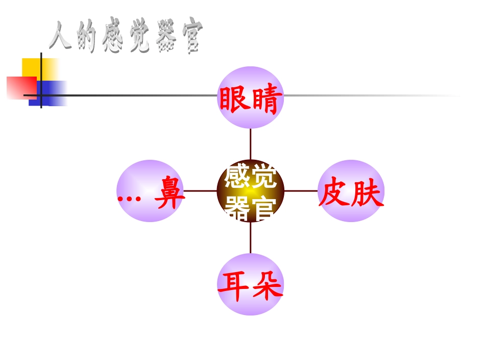第三节眼与视觉_第3页