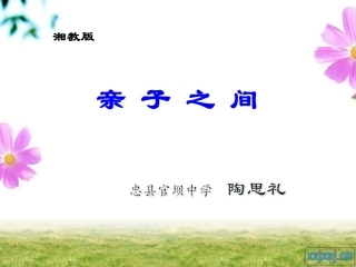 湘教版七年级上册31亲子之间课件