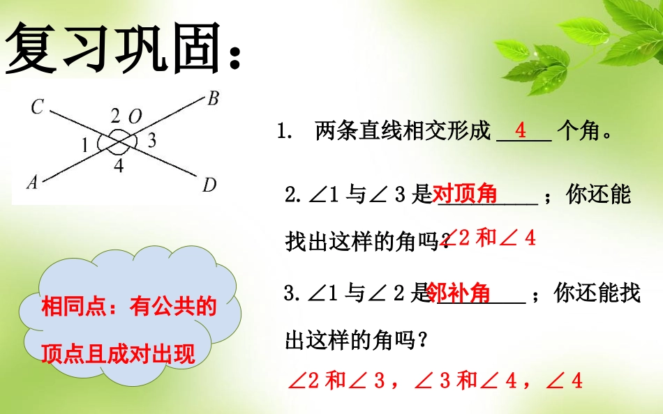 七年级数学下册第四章相交直线所成的角第二课时_第2页