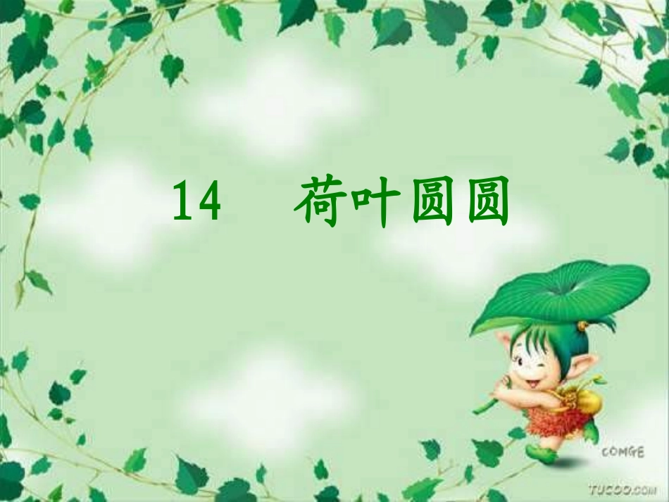 荷叶圆圆课件 _第1页