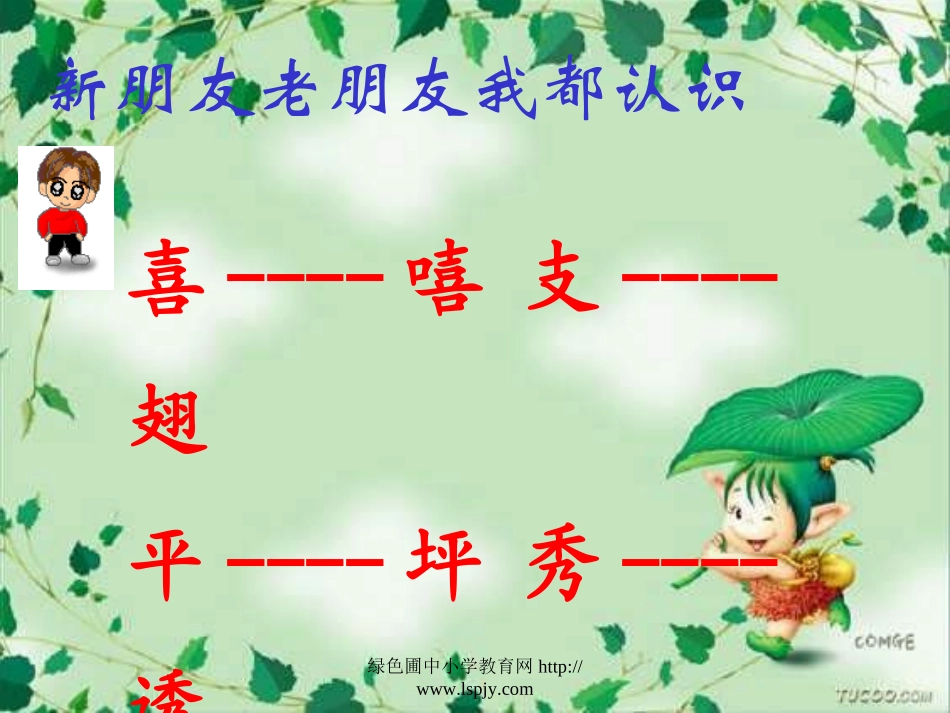 荷叶圆圆课件 _第3页