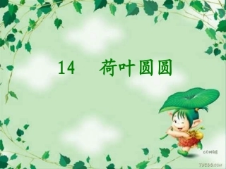 荷叶圆圆课件 
