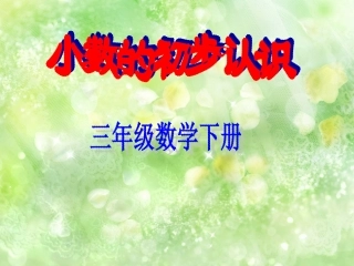 小数的初步认识gzy