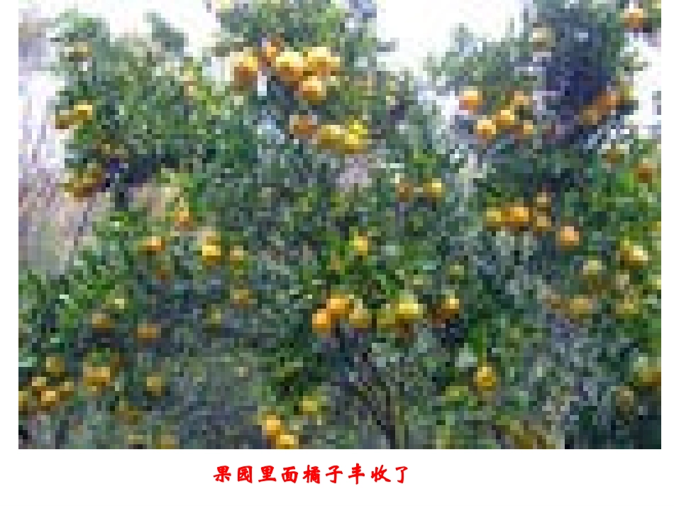 四年级品德与社会上册课件购物有学问_第2页