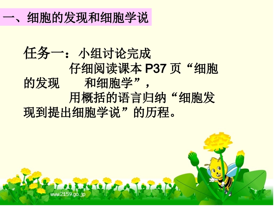 课件七上第二节《细胞》_第3页