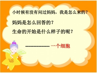 课件七上第二节《细胞》