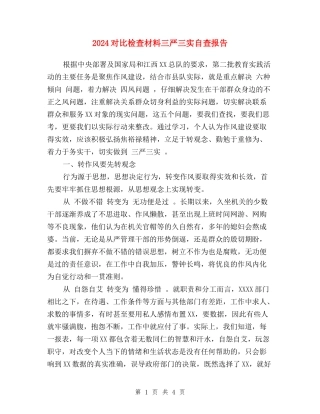 2024对照检查材料三严三实自查报告