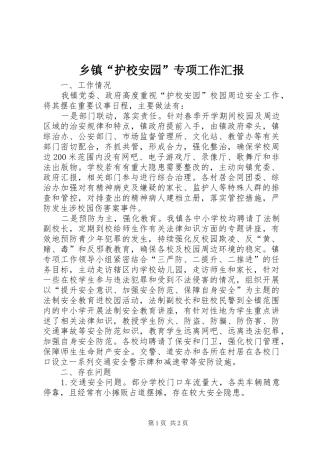 乡镇“护校安园”专项工作汇报