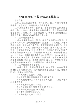 乡镇XX年财务收支情况工作报告