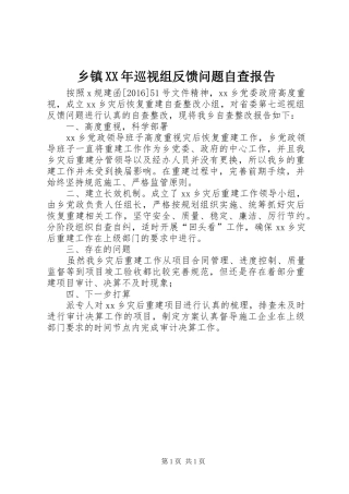 乡镇XX年巡视组反馈问题自查报告