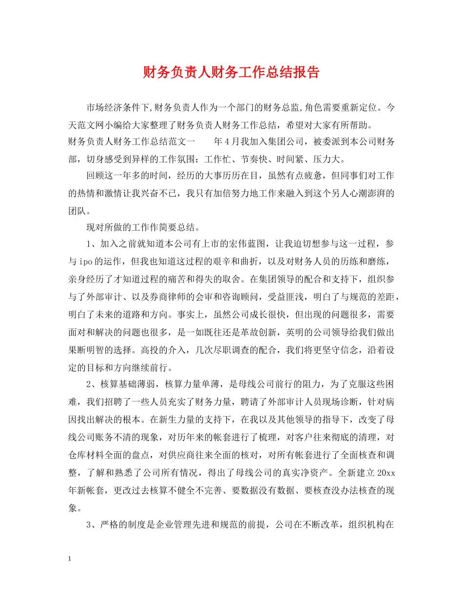 财务负责人财务工作总结报告 _第1页