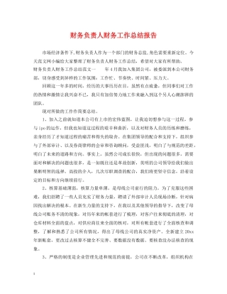 财务负责人财务工作总结报告 