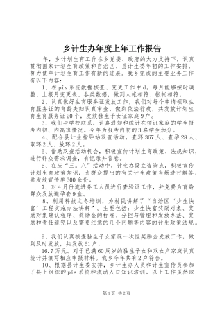 乡计生办年度上年工作报告