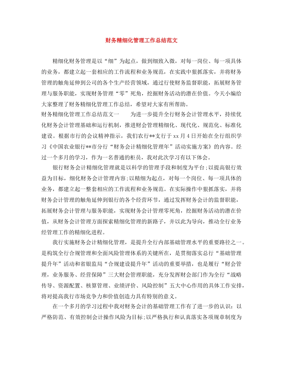 财务精细化管理工作总结范文 _第1页