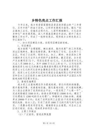 乡特色亮点工作汇报