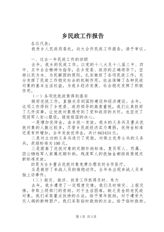 乡民政工作报告
