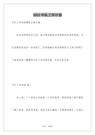 2024中队工作计划_6