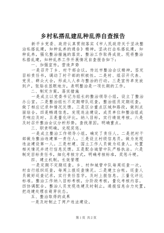 乡村私搭乱建乱种乱养自查报告