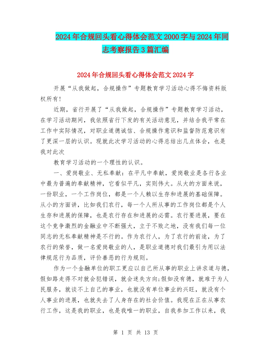 2024年合规回头看心得体会范文2000字与2024年同志考察报告3篇汇编_第1页
